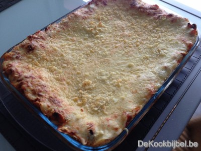 Lasagne met groentjes (Spelt)