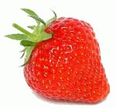 Aardbei