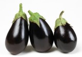 Aubergine