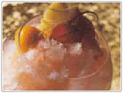 Granité van champagne en pompelmoes