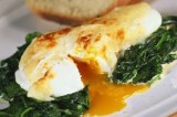 Gepocheerd ei florentine