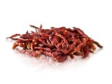 Gedroogde Thaïse chilipeper