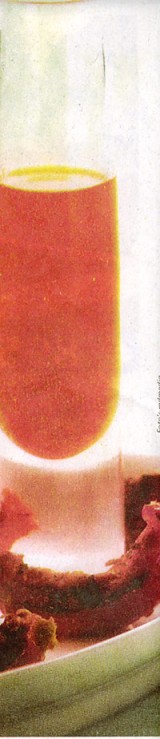 Vinaigrette van gedroogde tomaat