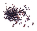 Jeneverbessen