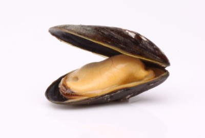Mosselen met amandelkorstje