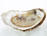 Waterkerssoep met oesters en sorbet van desperados