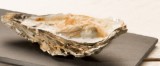 Gegratineerde oesters