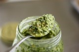 Pesto Koriander