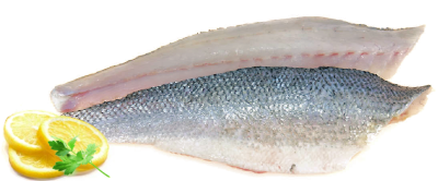 Zeebaars