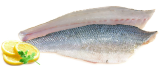 Zeebaars