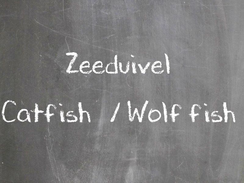 Zeewolf