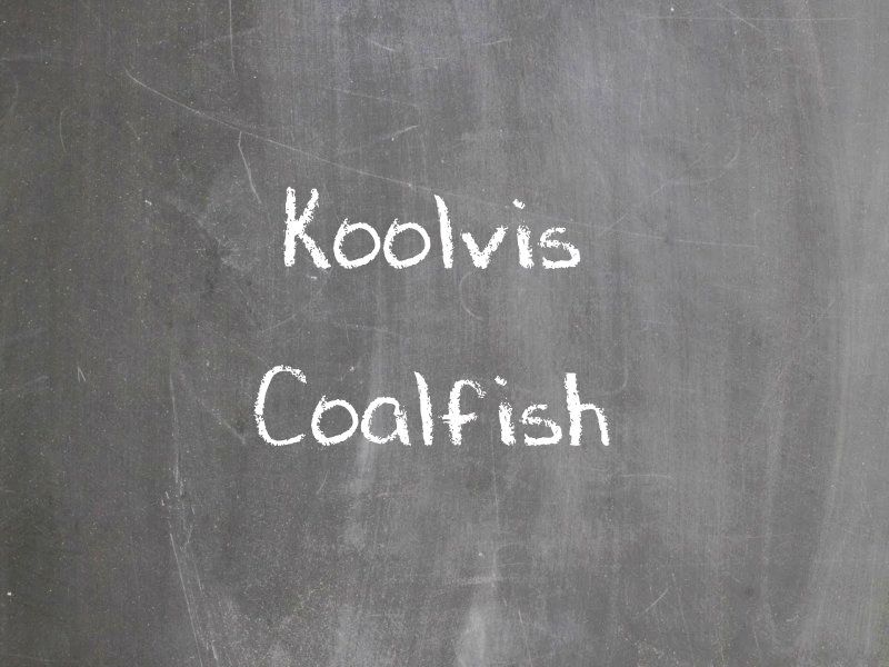 Koolvis