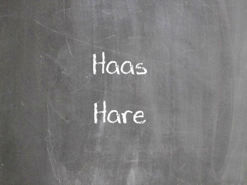 Haas