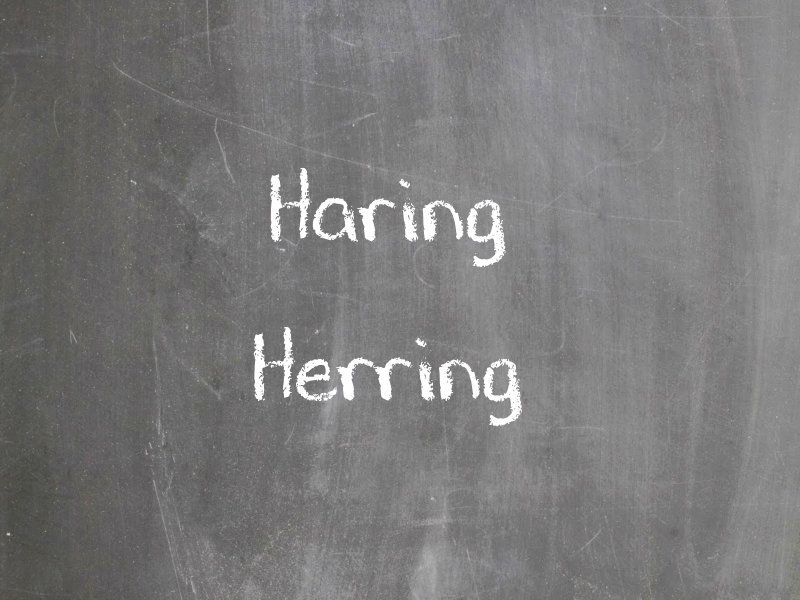 Haring