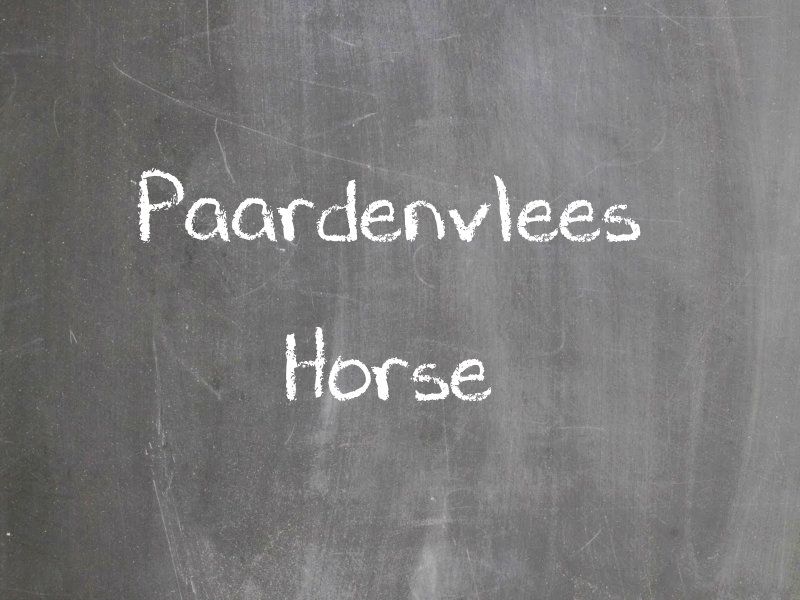 Paardenvlees