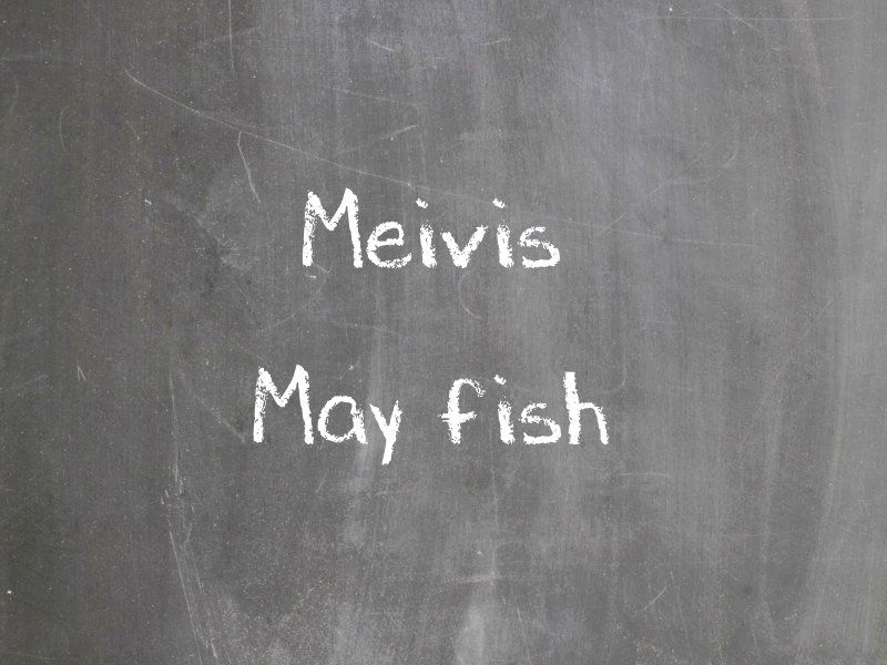 Meivis