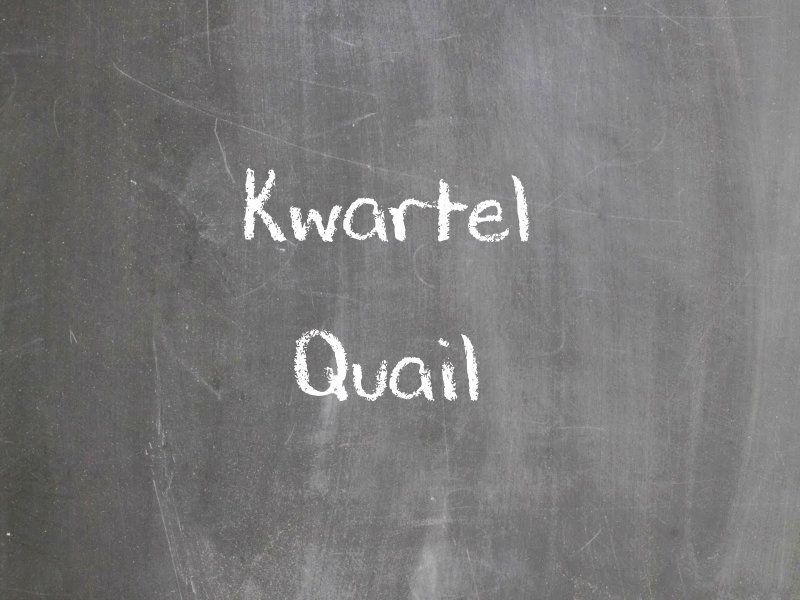 Kwartel