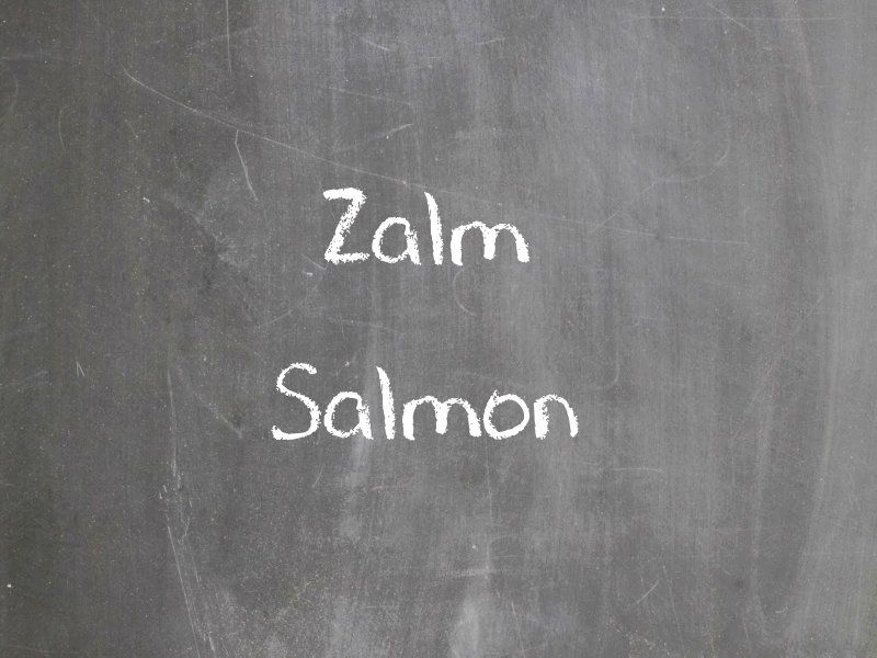 Zalm