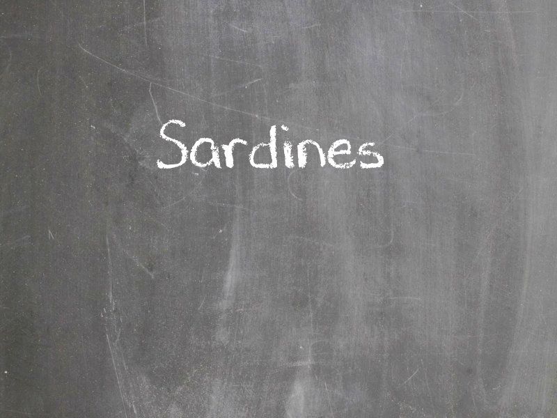 Sardines