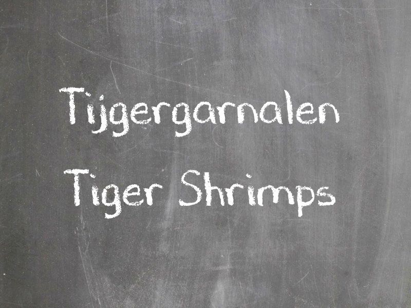 Tijgergarnalen
