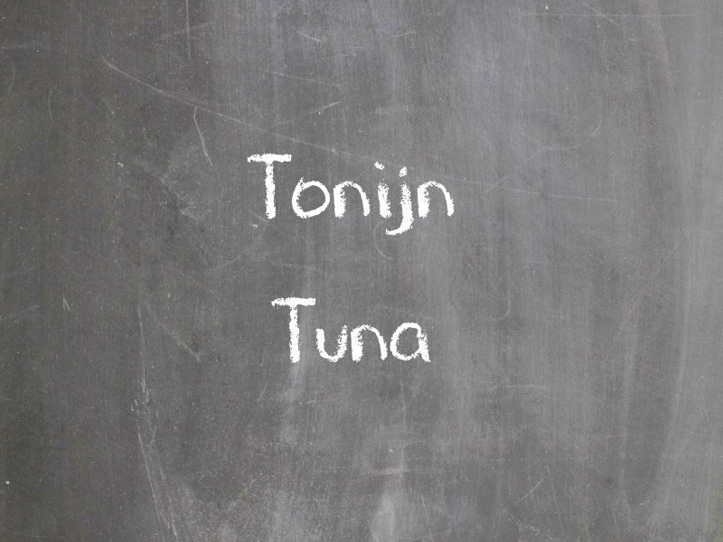 Tonijn