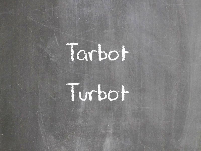 Tarbot