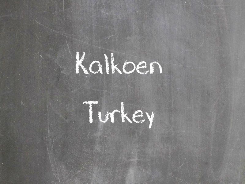 Kalkoen