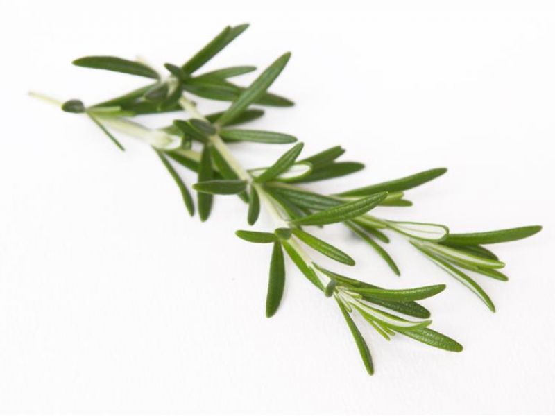 Rosemary-garlic marinade