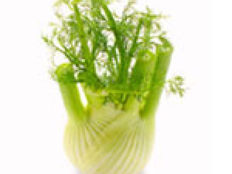 Venkelsalade met gebakken kip