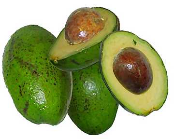 avocado 2